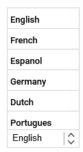 choose language for summarizing text