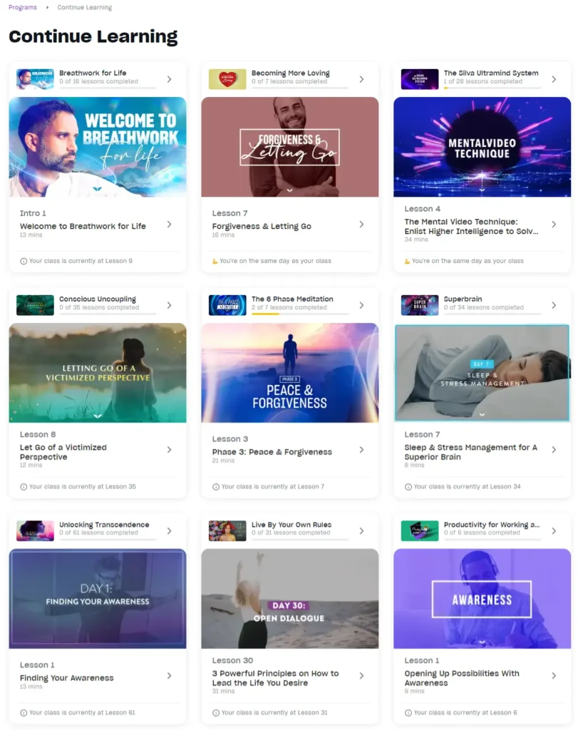 All mindvalley courses i took for myself