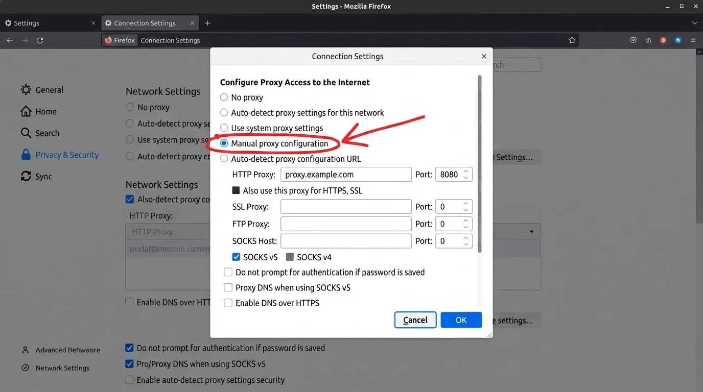 Set Up a Proxy in Firefox Step 5