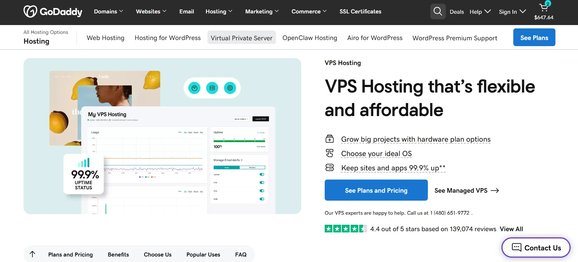 what is GoDaddy VPS 