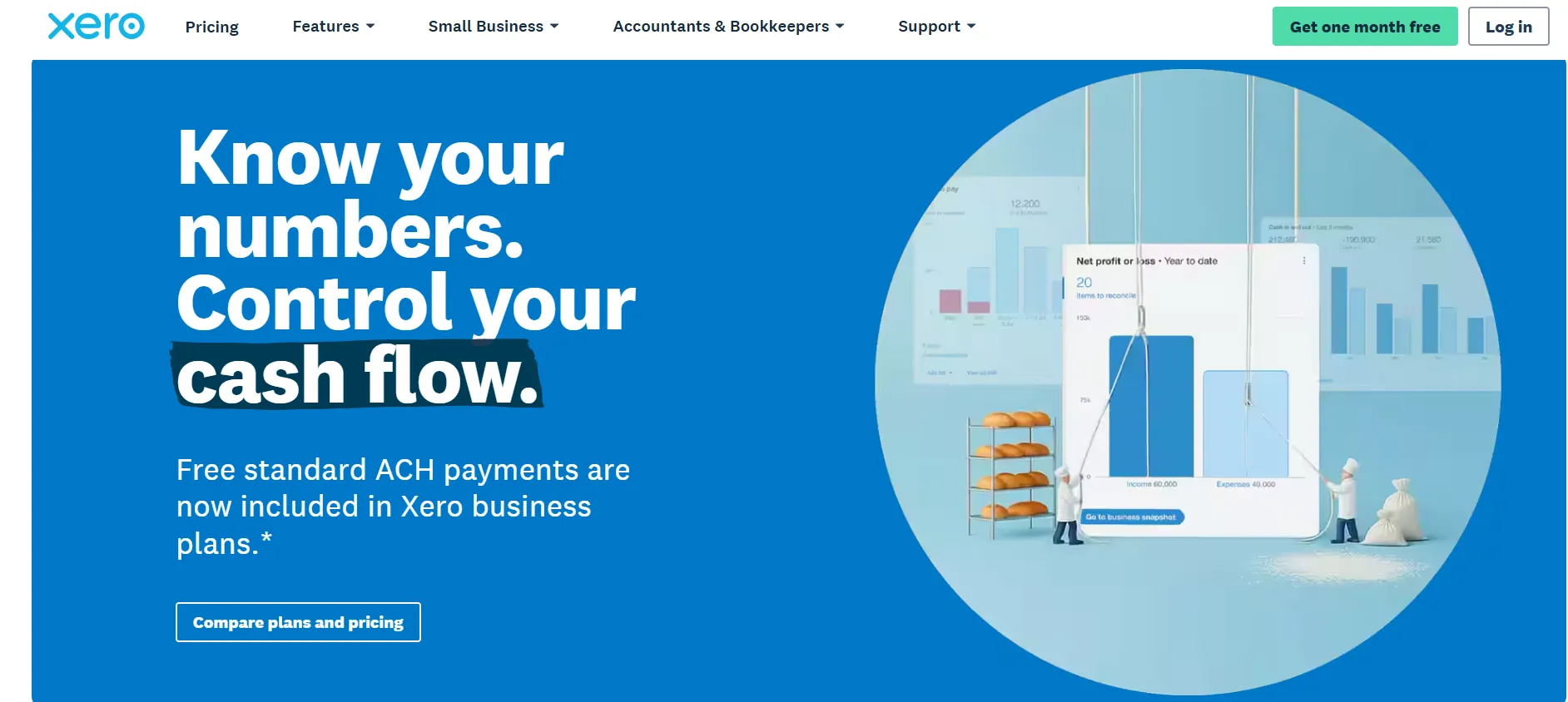 What is xero