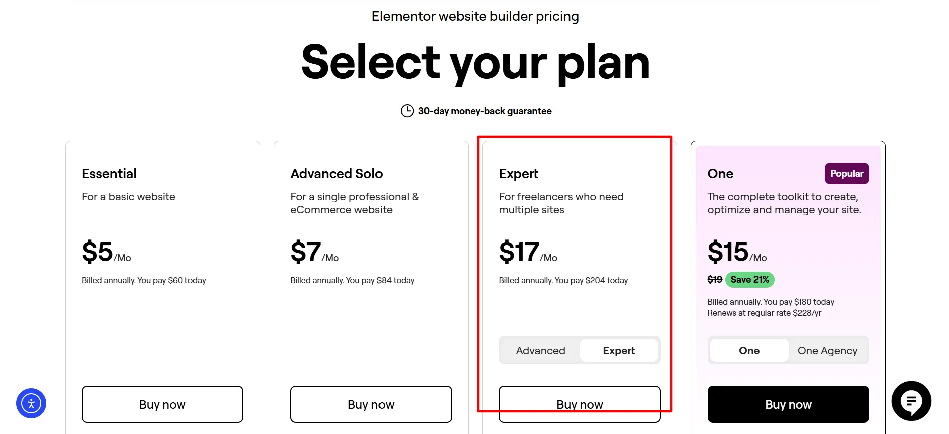 Elementor Expert Pricing