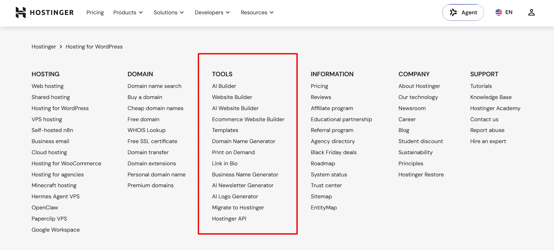 Hostinger AI Tools