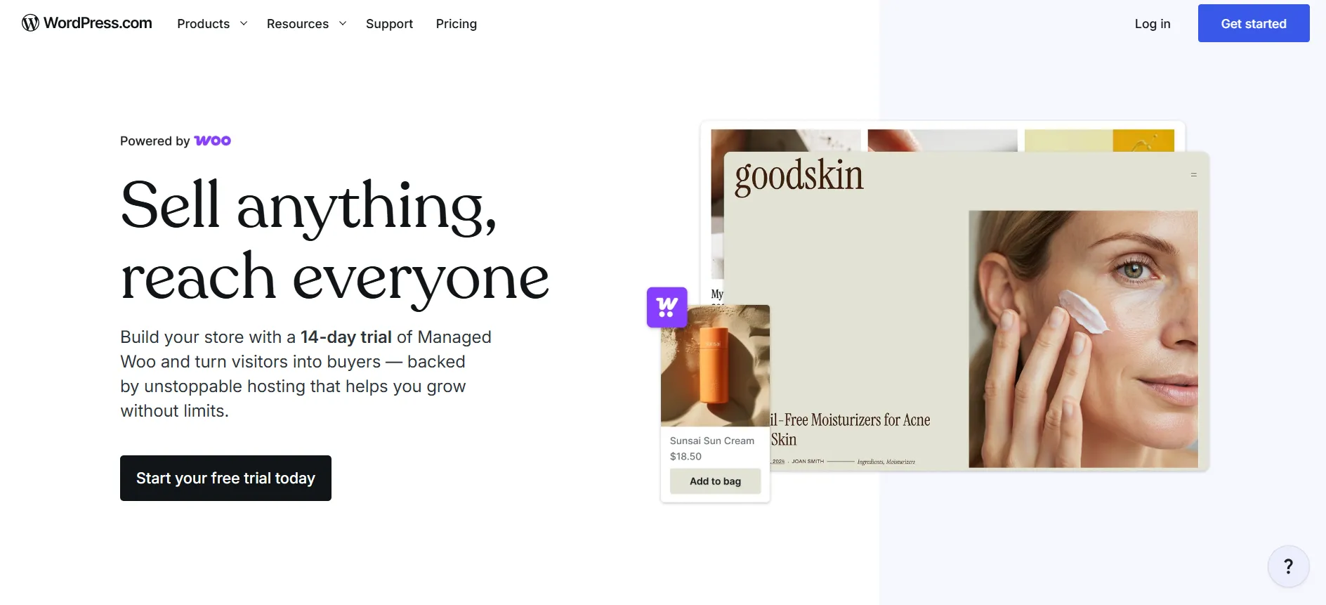 Wordpress Ecommerce